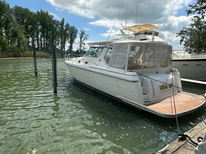 Nice Aft Yacht Photos Pics 