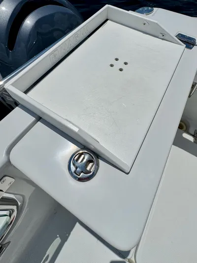 Sassy Cat Yacht Photos Pics Fishing table