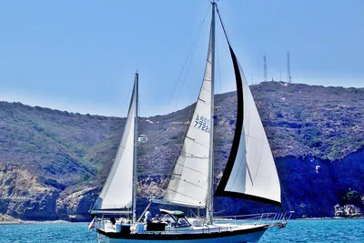 Irwin 41