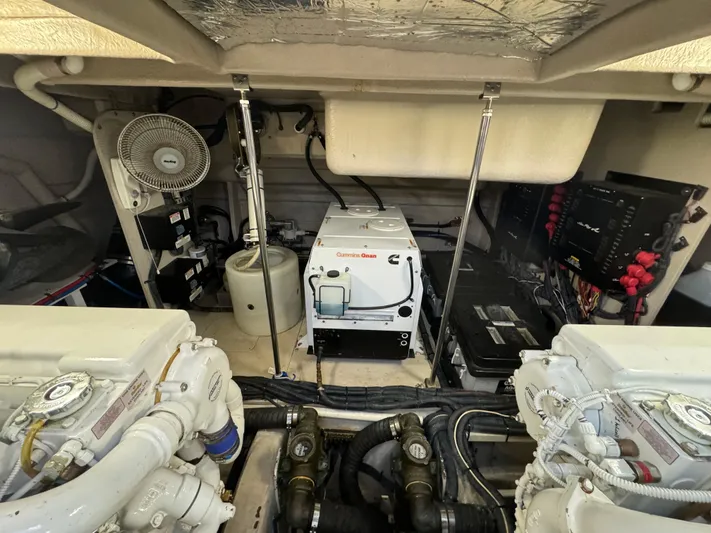 Sand Bar Proposal Yacht Photos Pics 