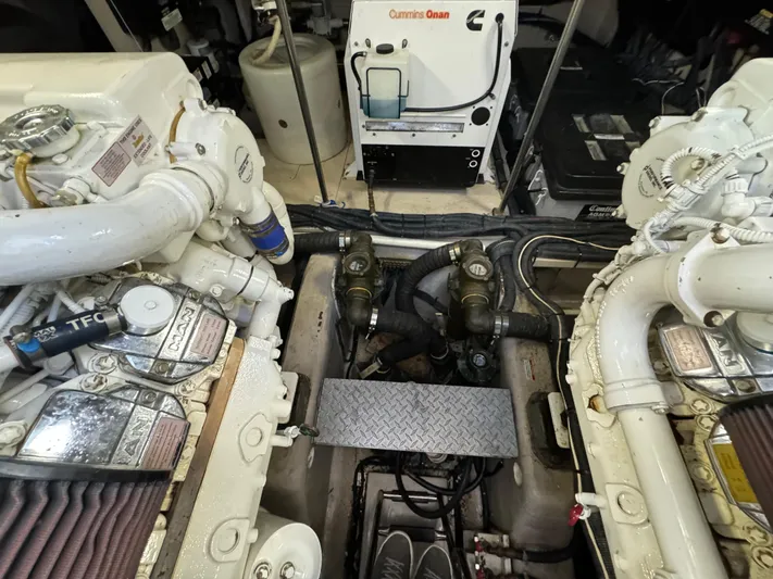 Sand Bar Proposal Yacht Photos Pics 