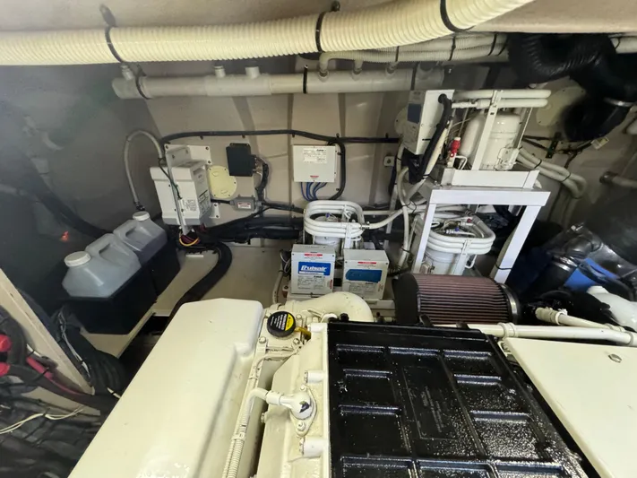 Sand Bar Proposal Yacht Photos Pics 