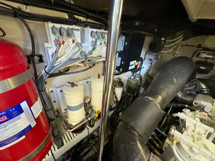 Sand Bar Proposal Yacht Photos Pics 