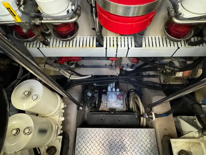 Sand Bar Proposal Yacht Photos Pics 