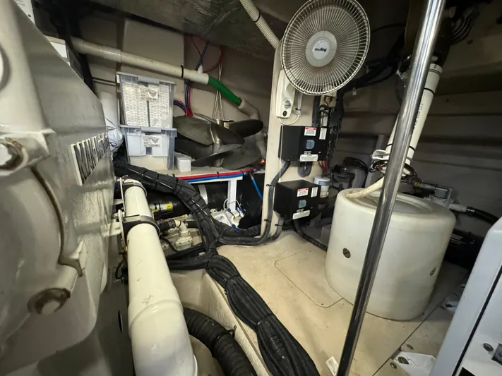 Sand Bar Proposal Yacht Photos Pics 