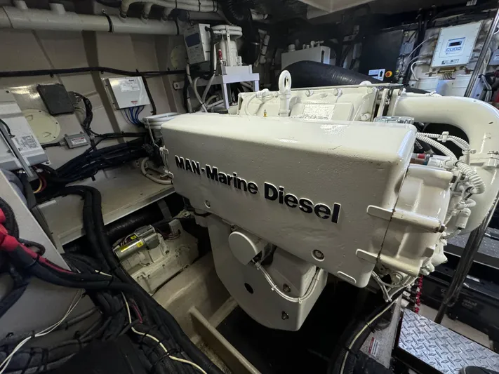 Sand Bar Proposal Yacht Photos Pics 