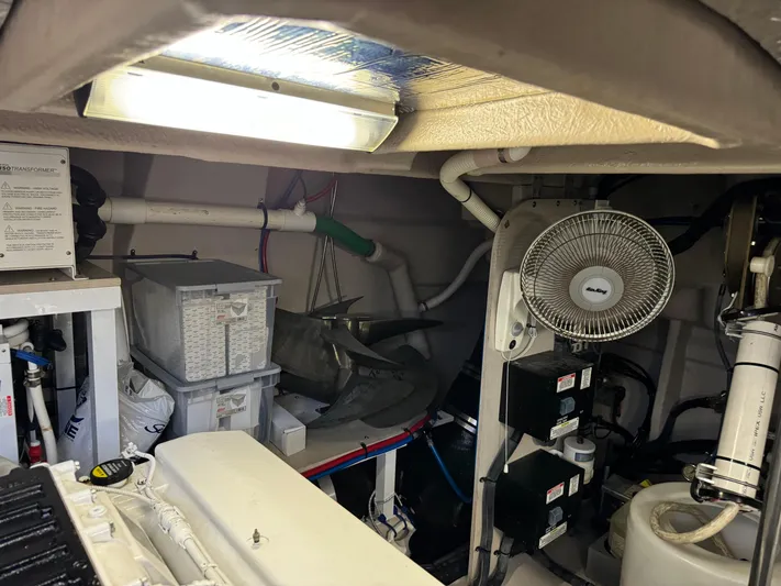 Sand Bar Proposal Yacht Photos Pics 