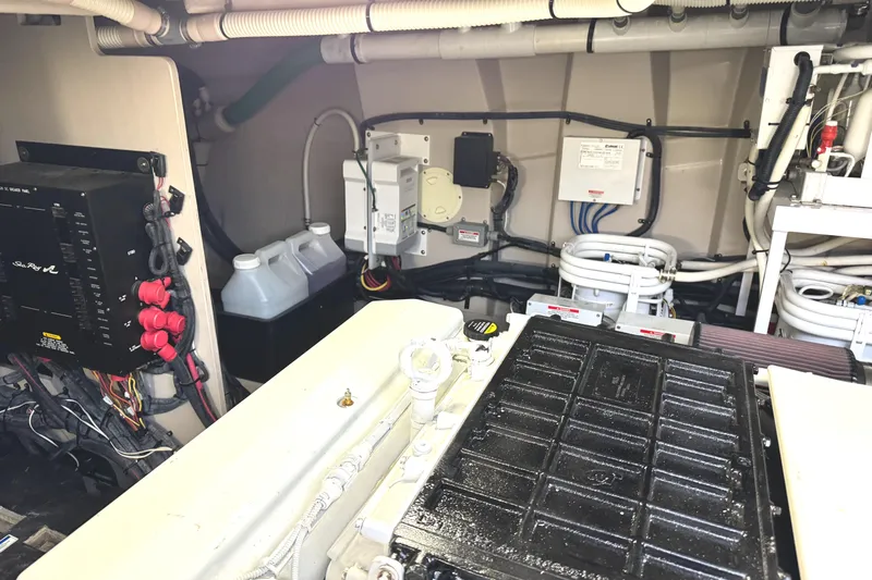 Sand Bar Proposal Yacht Photos Pics 