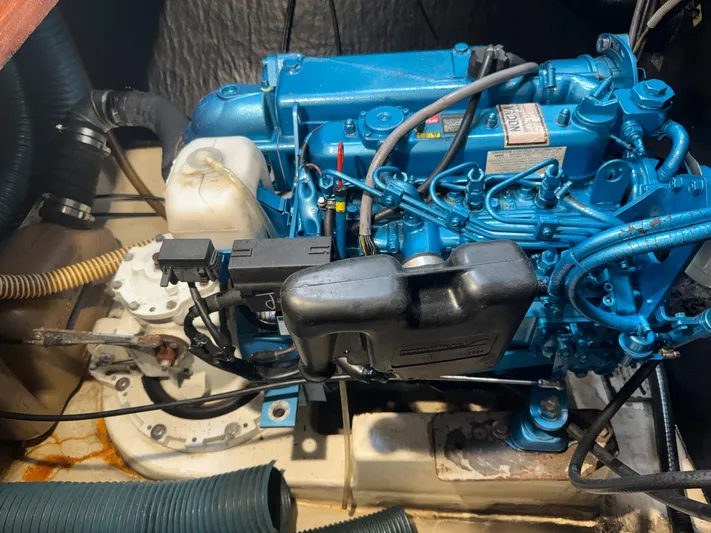 Savannah Yacht Photos Pics 