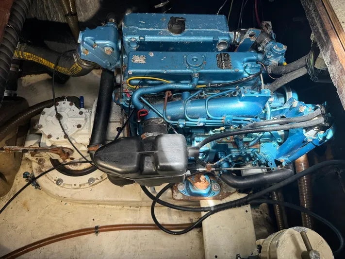 Savannah Yacht Photos Pics 