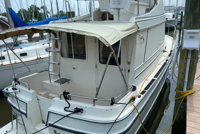 Camano Troll 31