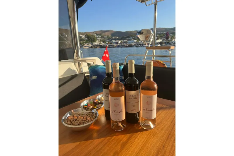 Chicago Yacht Photos Pics Wine and snacks on Lagoon 52 F yacht, 2020, with scenic waterfront view.