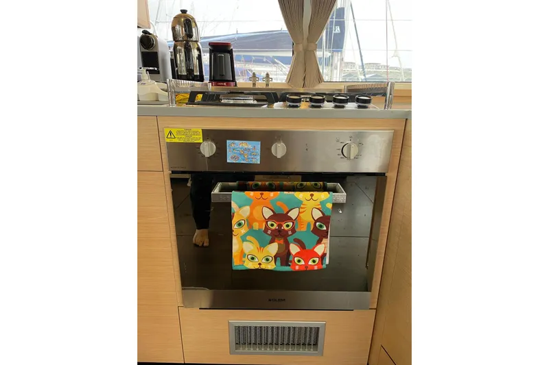 Chicago Yacht Photos Pics Modern kitchen on Lagoon 52 F yacht with colorful cat-themed towel.