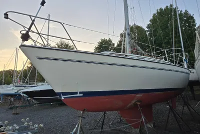 Pearson 303 Sloop