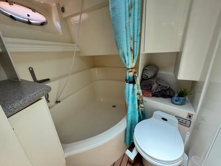  Yacht Photos Pics Bathroom of 1996 Carver 500 Cockpit Motor Yacht with shower, toilet, and decorative elements.