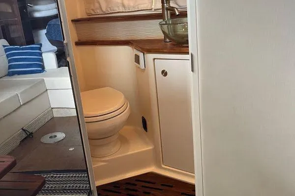  Yacht Photos Pics 2017 Sea Ray Sundancer 350 yacht bathroom with toilet, sink, and wooden accents.