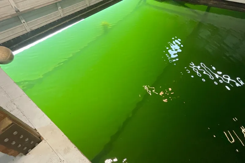  Yacht Photos Pics Indoor boathouse with vibrant green water, Custom model, 1995.