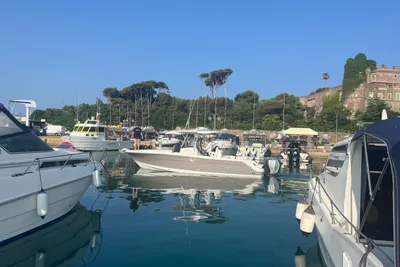 2008 Robalo r 300