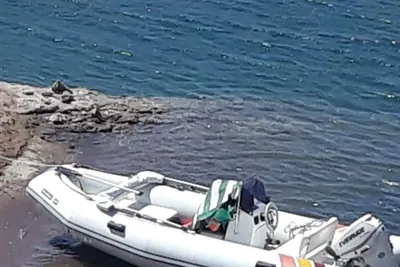 2012 Callegari Edinrude E-tec 60