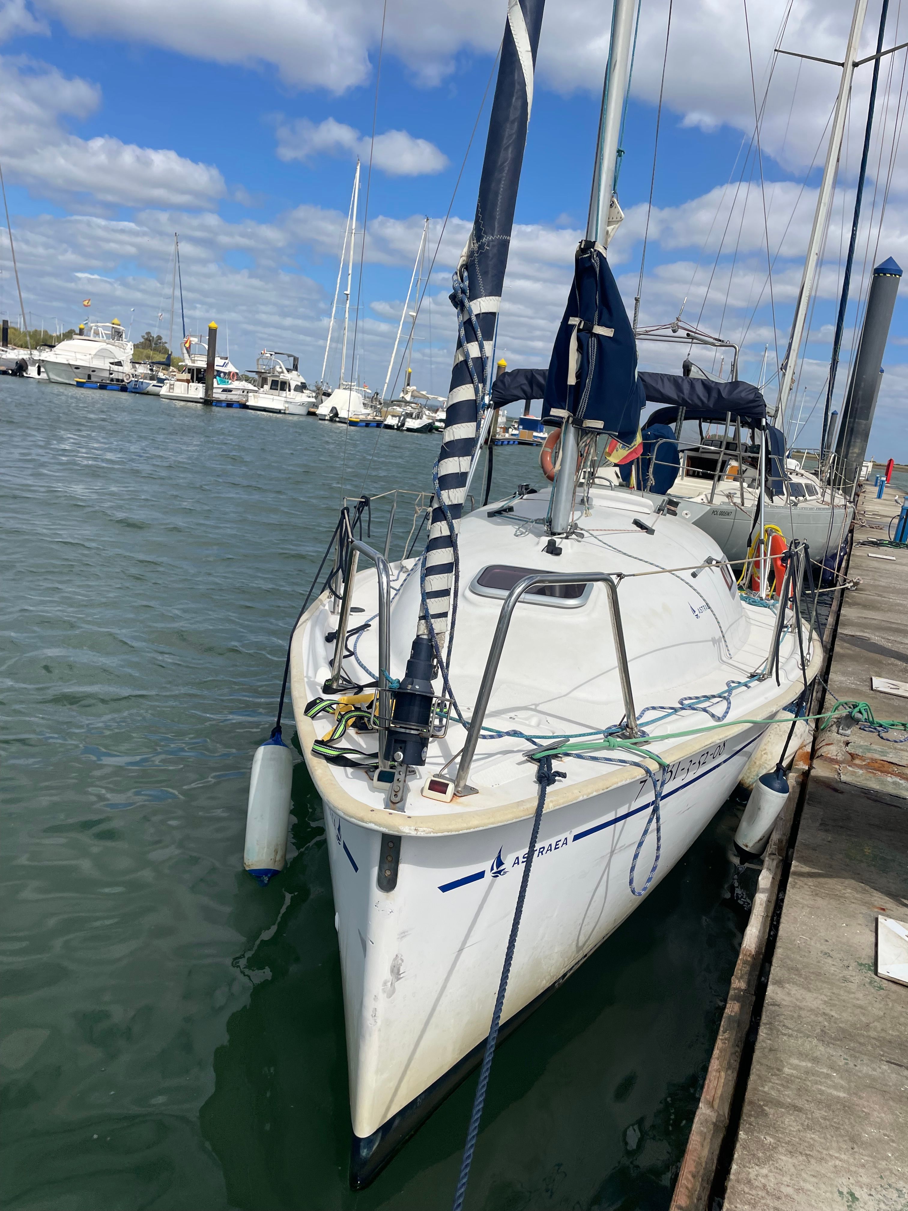 2008 Custom Astraea Albatros 5.9