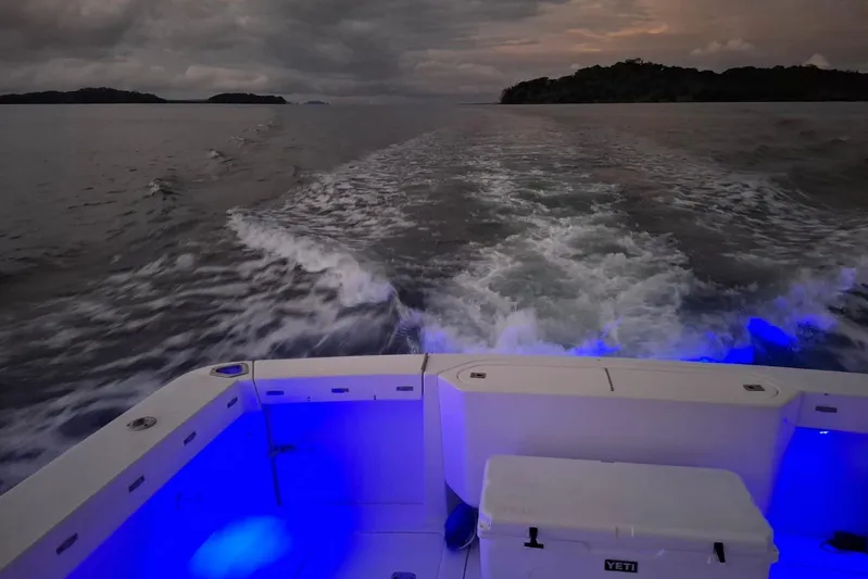  Yacht Photos Pics Bertram 390 boat cruising at dusk, illuminated deck, 2009 model, ocean view.