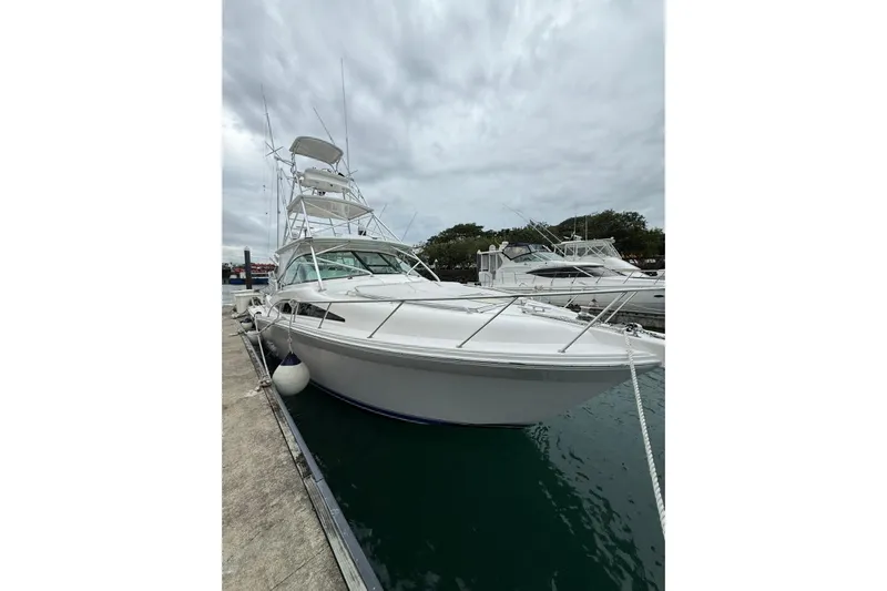  Yacht Photos Pics 2009 Bertram 390 yacht docked at marina under cloudy sky.