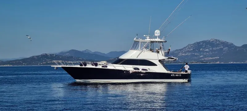 Yellowfin Yacht Photos Pics Viking 54 Convertible profile