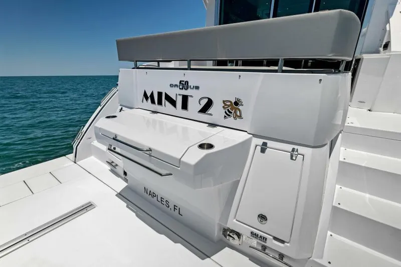 Mint 2 Bee Yacht Photos Pics Swim Platform