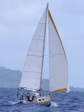 Alubat Ovni 31