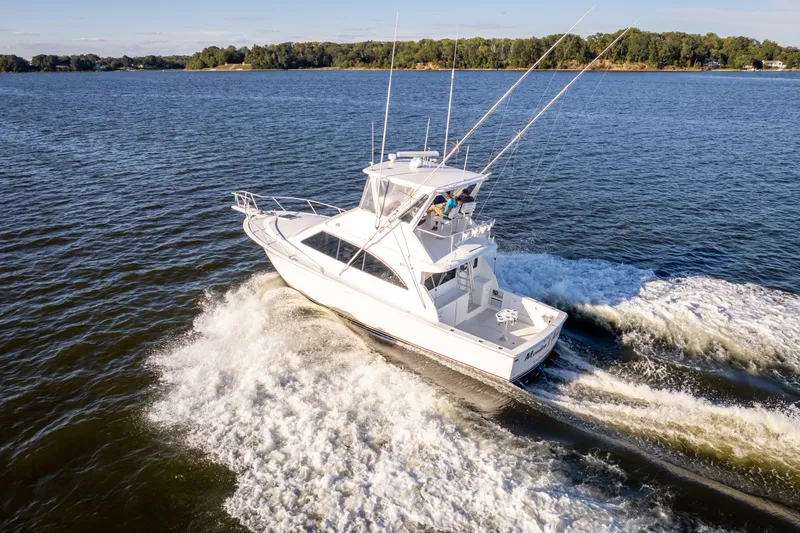 Monica Ann Yacht Photos Pics 