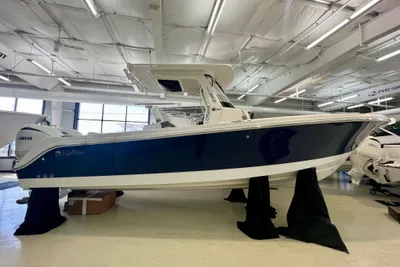 Edgewater 262CC