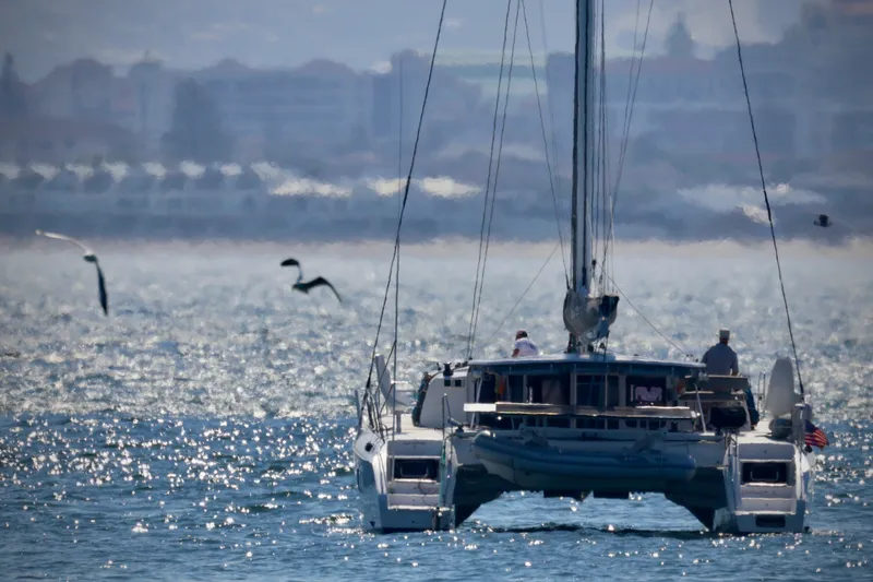 Alegria Yacht Photos Pics Outremer 51 catamaran sailing on shimmering water, 2017 model, with seagulls flying nearby.