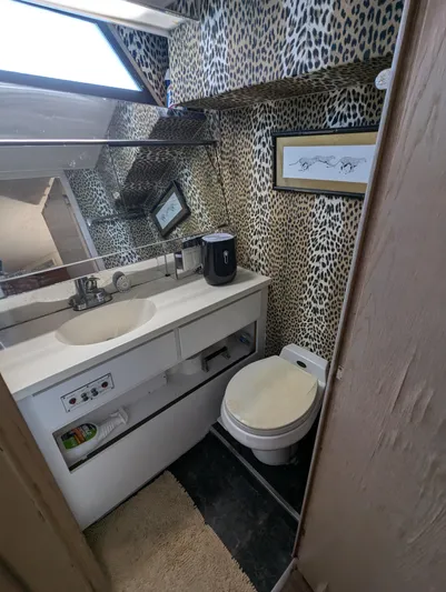 New Moon Yacht Photos Pics 