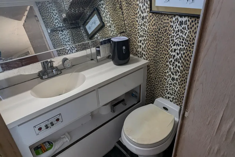 New Moon Yacht Photos Pics 