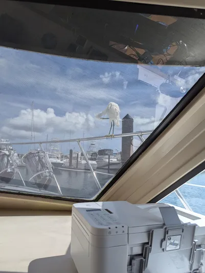 New Moon Yacht Photos Pics 