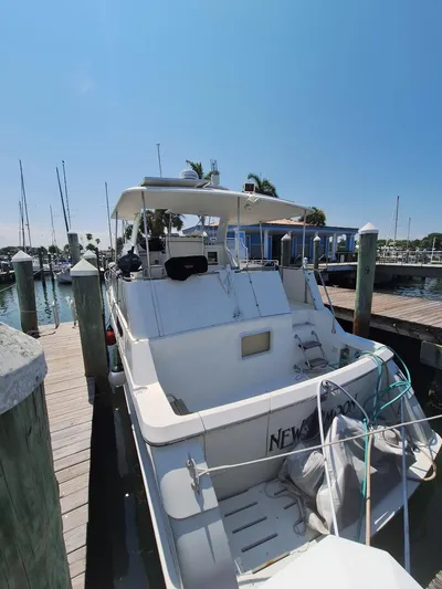 New Moon Yacht Photos Pics 