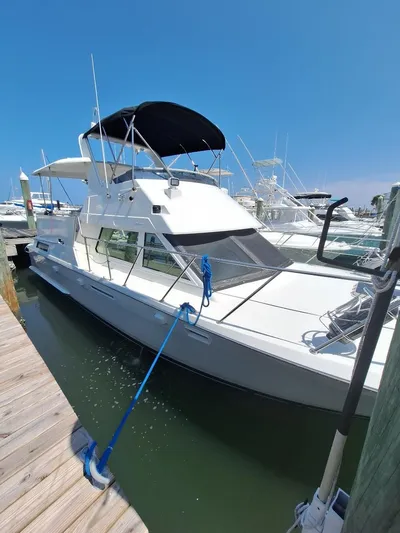 New Moon Yacht Photos Pics 