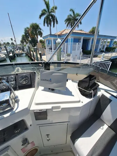 New Moon Yacht Photos Pics 