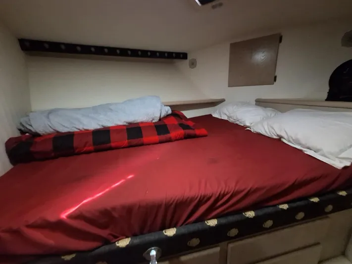 New Moon Yacht Photos Pics 