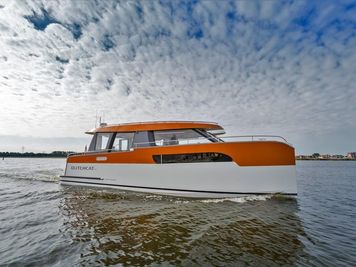 2017 DutchCat Twelve