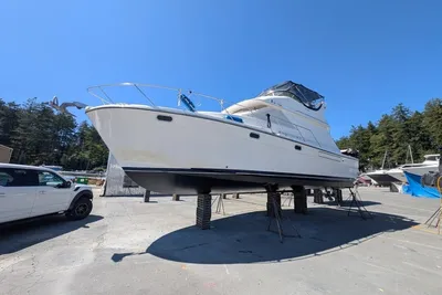 Bayliner 3988 Command Bridge Motoryacht