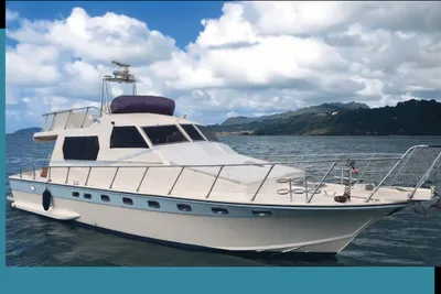 1981 Dellapasqua DC13 Fly