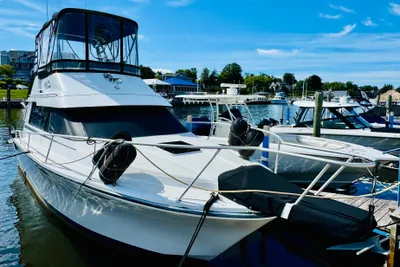Luhrs 3420 Tournament