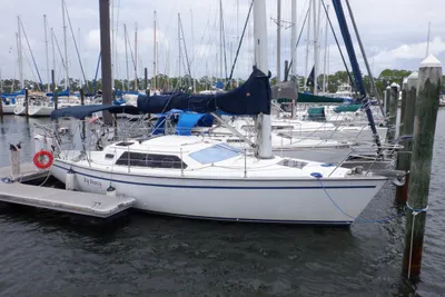 Hunter Vision 32