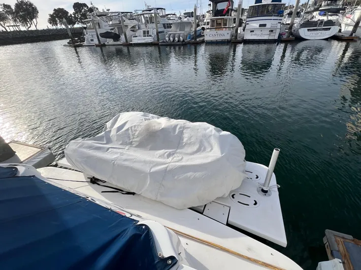 "carried Aweigh" Yacht Photos Pics 1999 Sea Ray 400 Sundancer docked at marina with covered equipment on deck.