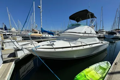 Bertram 28 Flybridge