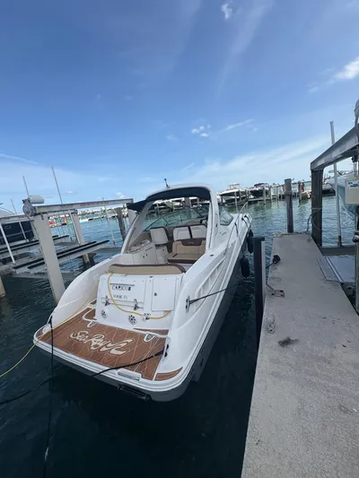  Yacht Photos Pics 2008 Sea Ray 330 Sundancer docked at marina under clear blue sky.