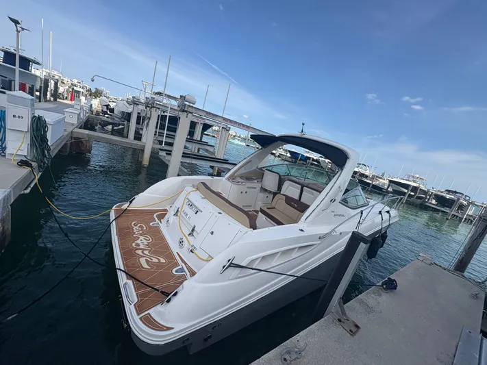  Yacht Photos Pics 2008 Sea Ray 330 Sundancer docked at marina under clear blue sky.