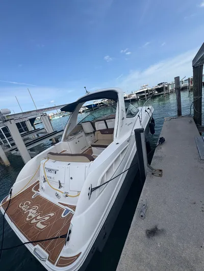  Yacht Photos Pics 2008 Sea Ray 330 Sundancer docked at marina under clear blue sky.