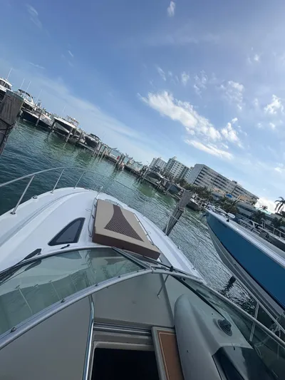  Yacht Photos Pics 2008 Sea Ray 330 Sundancer docked at marina under clear blue sky.